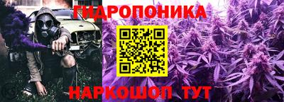 тгк Кингисепп