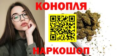 тгк Кингисепп