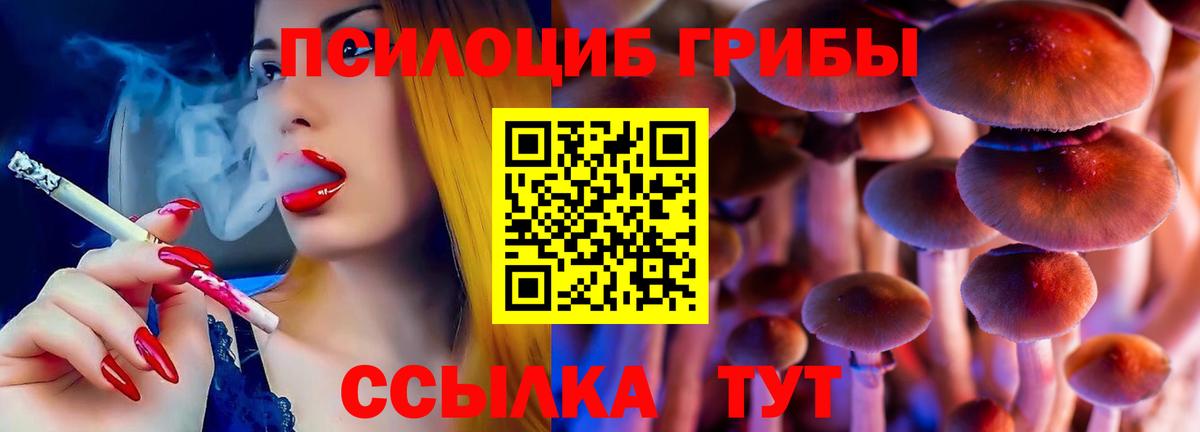 Псилоцибиновые грибы прущие грибы  Вход с VPN  Вологда 